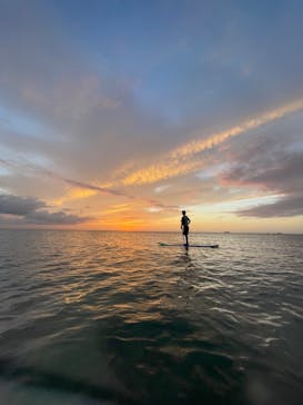 沖縄ゴリダイブに投稿された画像（2024/10/14）