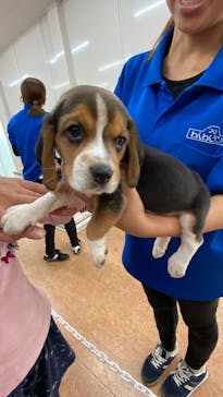 つくばわんわんランドに投稿された画像（2024/10/14）