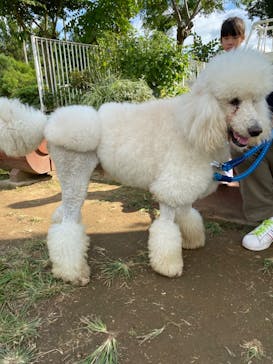 つくばわんわんランドに投稿された画像（2024/10/14）