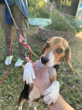 つくばわんわんランドに投稿された画像（2024/10/14）