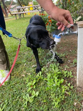 つくばわんわんランドに投稿された画像（2024/10/14）