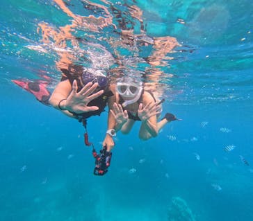  マリンショップHAPPYに投稿された画像（2024/10/14）