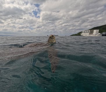  マリンショップHAPPYに投稿された画像（2024/10/14）
