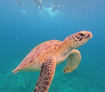  マリンショップHAPPYに投稿された画像（2024/10/14）