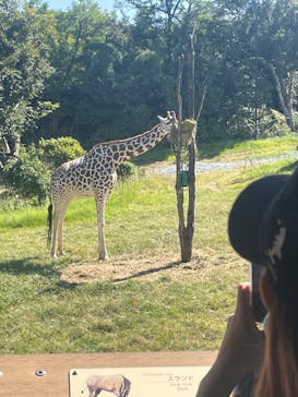 天王寺動物園に投稿された画像（2024/10/14）