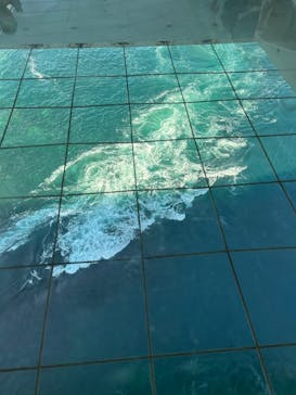 徳島県立 渦の道に投稿された画像（2024/10/14）