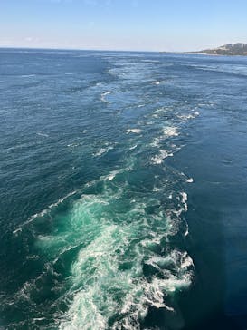 徳島県立 渦の道に投稿された画像（2024/10/14）