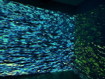 徳島県立 渦の道に投稿された画像（2024/10/14）