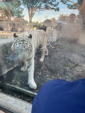 東武動物公園に投稿された画像（2024/10/14）