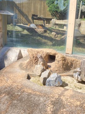 東武動物公園に投稿された画像（2024/10/14）