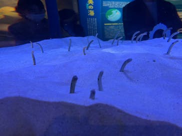 マリンワールド海の中道に投稿された画像（2024/10/14）