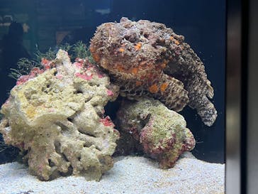 マリンワールド海の中道に投稿された画像（2024/10/14）