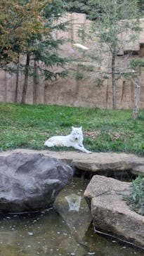 那須どうぶつ王国に投稿された画像（2024/10/14）