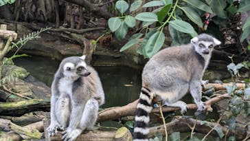 那須どうぶつ王国に投稿された画像（2024/10/14）