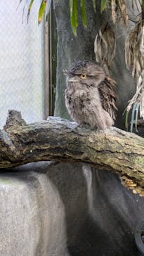 那須どうぶつ王国に投稿された画像（2024/10/14）