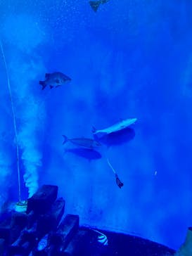 浜名湖体験学習施設ウォットに投稿された画像（2024/10/14）