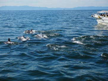 口之津観光船企業組合に投稿された画像（2024/10/14）