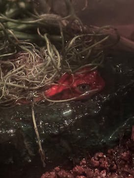 サンシャイン水族館に投稿された画像（2024/10/14）