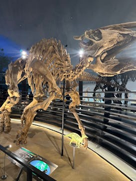 福井県立恐竜博物館に投稿された画像（2024/10/14）