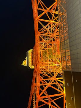 東京タワーに投稿された画像（2024/10/14）