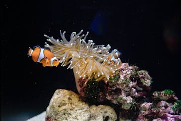 マリンワールド海の中道に投稿された画像（2024/10/14）