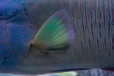 マリンワールド海の中道に投稿された画像（2024/10/14）