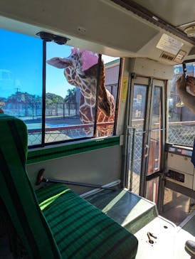 東北サファリパークに投稿された画像（2024/10/14）