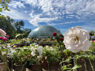 とっとり花回廊に投稿された画像（2024/10/14）