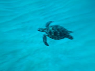 ON SHORE（オンショア）に投稿された画像（2024/10/14）