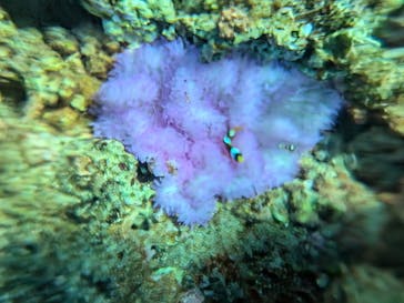 ON SHORE（オンショア）に投稿された画像（2024/10/14）