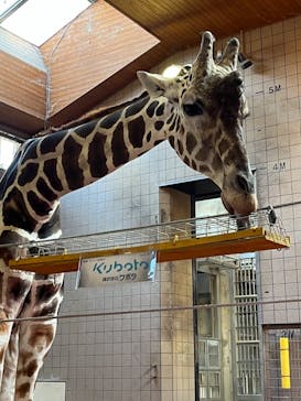 天王寺動物園に投稿された画像（2024/10/14）