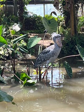 神戸どうぶつ王国に投稿された画像（2024/10/14）