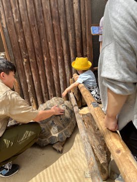 神戸どうぶつ王国に投稿された画像（2024/10/14）