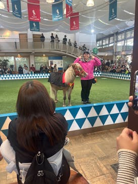 ノーザンホースパークに投稿された画像（2024/10/14）