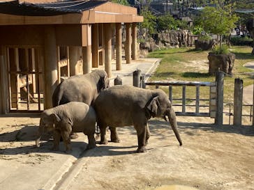 名古屋市東山動植物園に投稿された画像（2024/10/14）