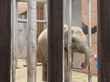 名古屋市東山動植物園に投稿された画像（2024/10/14）