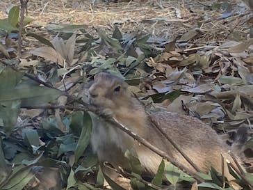 名古屋市東山動植物園に投稿された画像（2024/10/14）