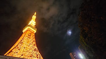 東京タワーに投稿された画像（2024/10/14）