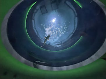 四国水族館に投稿された画像（2024/10/14）