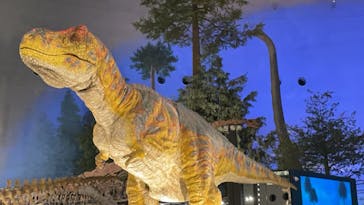 福井県立恐竜博物館に投稿された画像（2024/10/14）