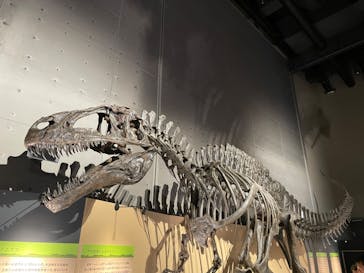 福井県立恐竜博物館に投稿された画像（2024/10/14）
