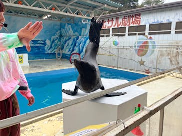 東北サファリパークに投稿された画像（2024/10/14）