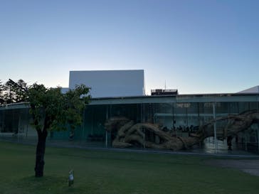 金沢21世紀美術館に投稿された画像（2024/10/14）