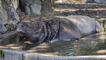 名古屋市東山動植物園に投稿された画像（2024/10/14）