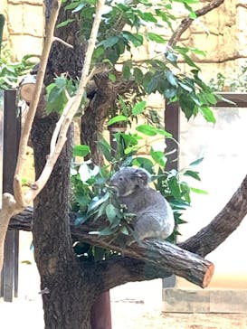 名古屋市東山動植物園に投稿された画像（2024/10/14）