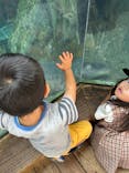 天王寺動物園に投稿された画像（2024/10/15）