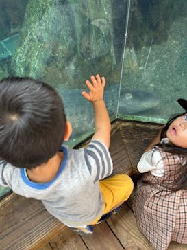 天王寺動物園に投稿された画像（2024/10/15）