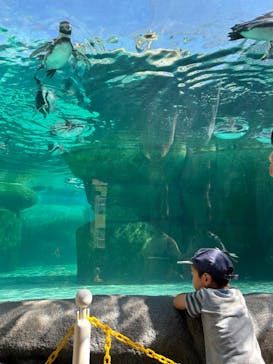 天王寺動物園に投稿された画像（2024/10/15）