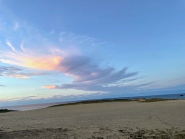 鳥取砂丘セグウェイ ワイルドアドベンチャーツアーに投稿された画像（2024/10/15）