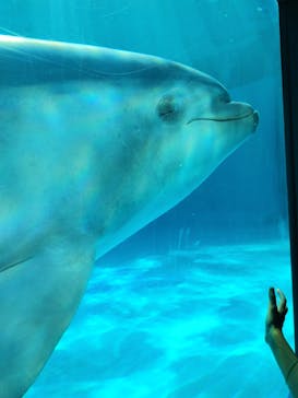 鴨川シーワールドに投稿された画像（2024/10/15）